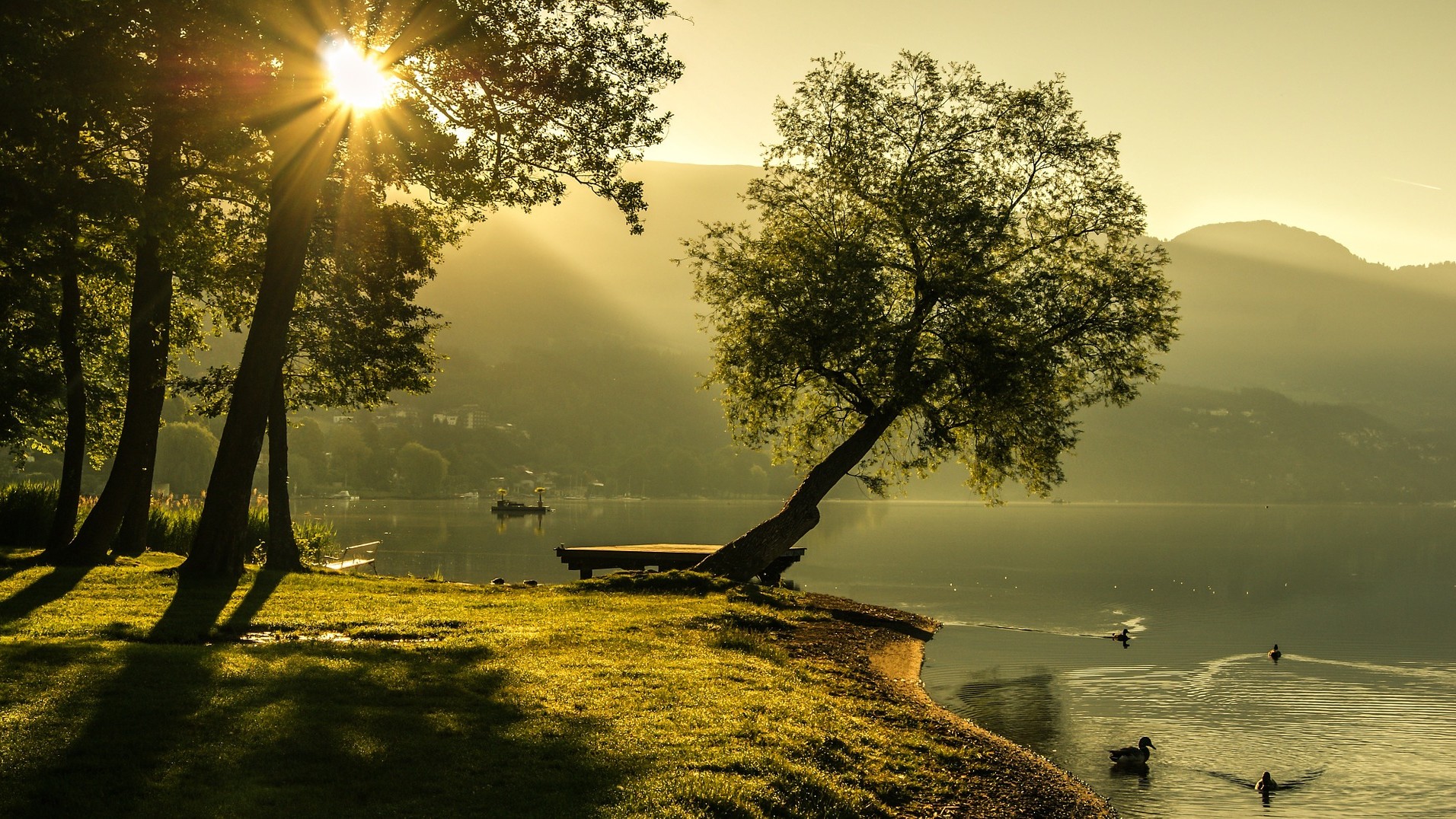 Wald und Wiesenstueck am See dort wohnen wo andere Urlaub machen